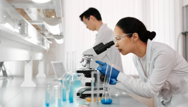 lab